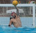 Kapus brav&uacute;r